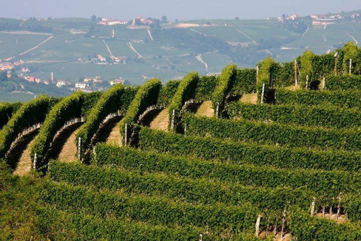 Agriturismo Cascina Rabalot ดิอาโนดัลบา ภายนอก รูปภาพ