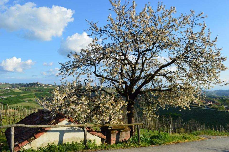 Agriturismo Cascina Rabalot ดิอาโนดัลบา ภายนอก รูปภาพ