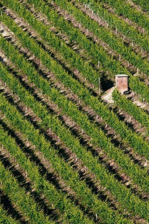 Agriturismo Cascina Rabalot ดิอาโนดัลบา ภายนอก รูปภาพ